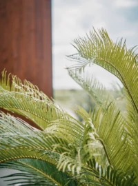 SEAWARD HOUSE PRODUCT