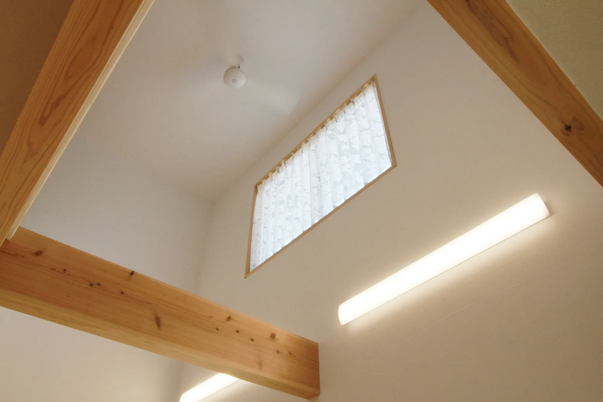 自然光のぬくもりと畳の香りが調和する家